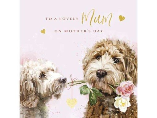 Picture of TO A LOVELY MUM ON MOTHERS DAY